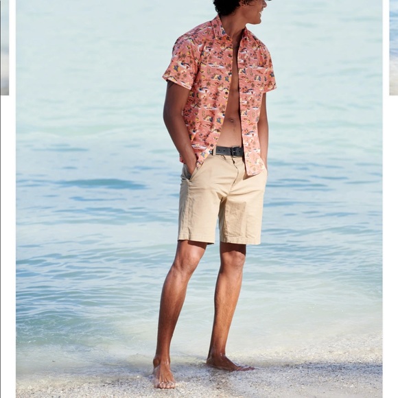 Roberta Oaks button down - Picture 5 of 6